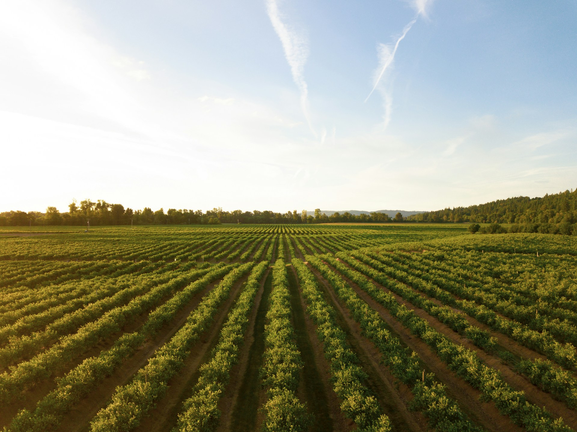 Nuestro Compromiso — Continental Nutriments